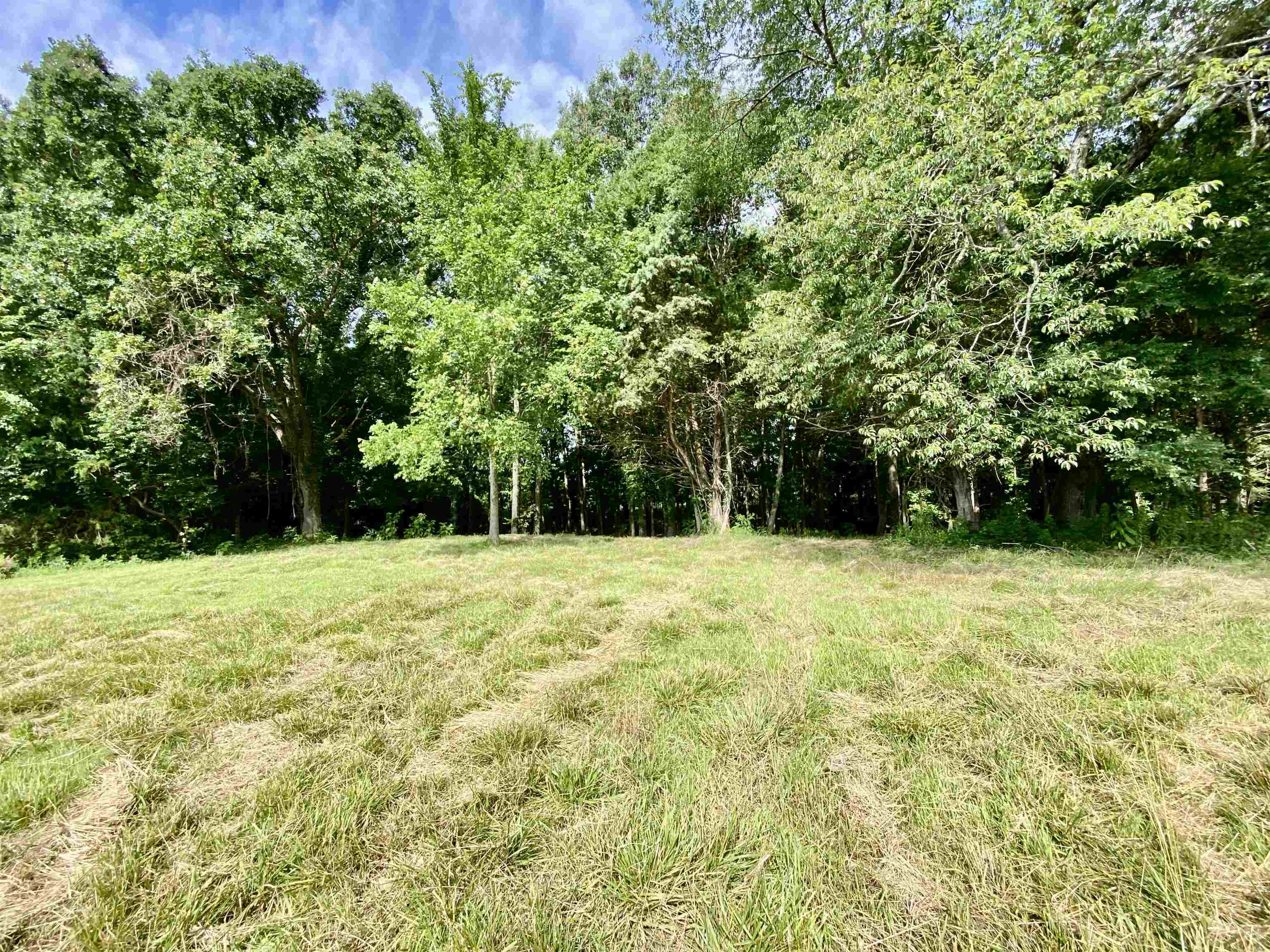 475 Fertile Valley Road Somerville, TN 38068 - Photo 12 of 21 a view of a yard with a trees