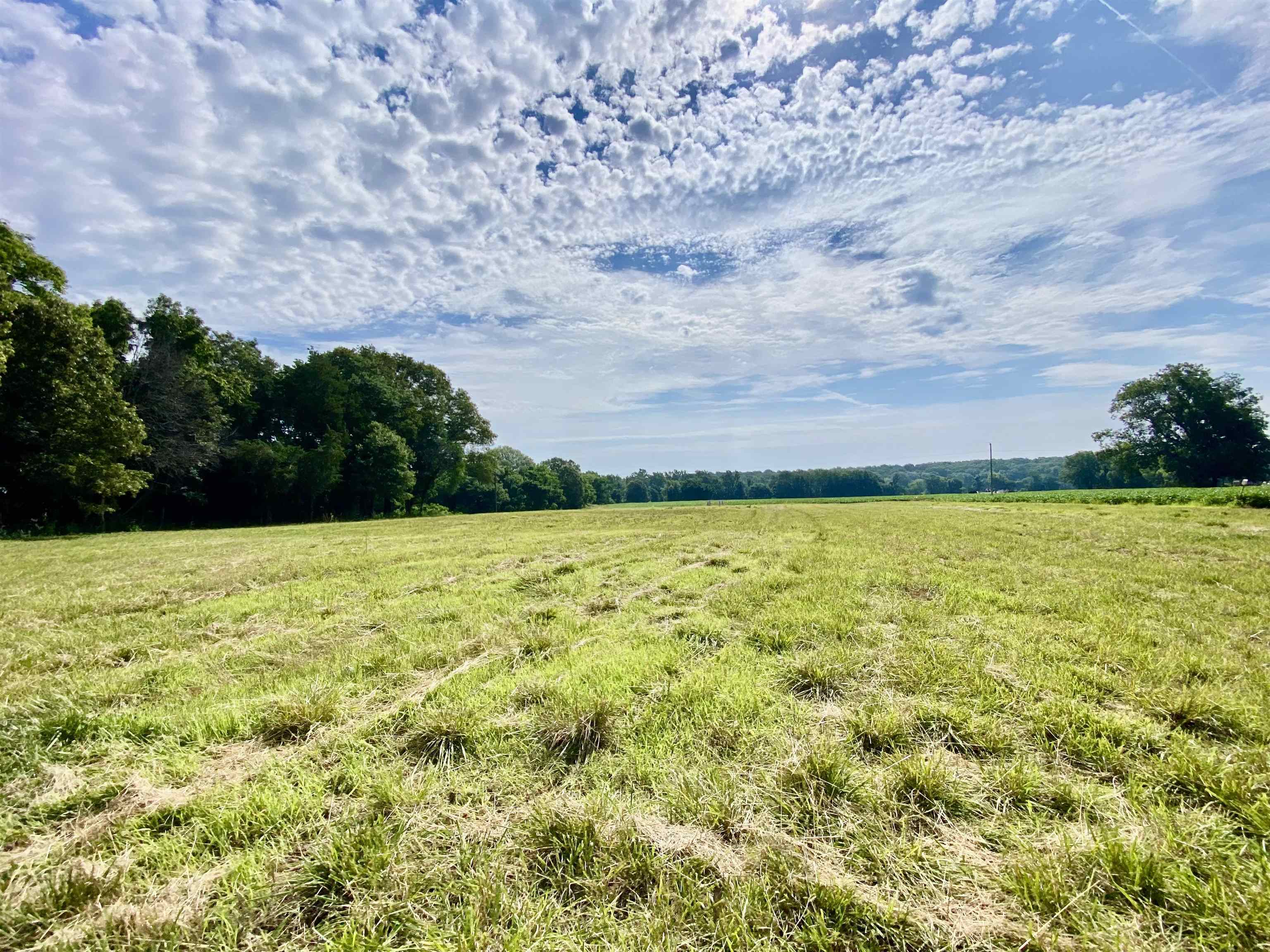 475 Fertile Valley Road Somerville, TN 38068 - Photo 14 of 21 a view of yard with swimming pool and green space