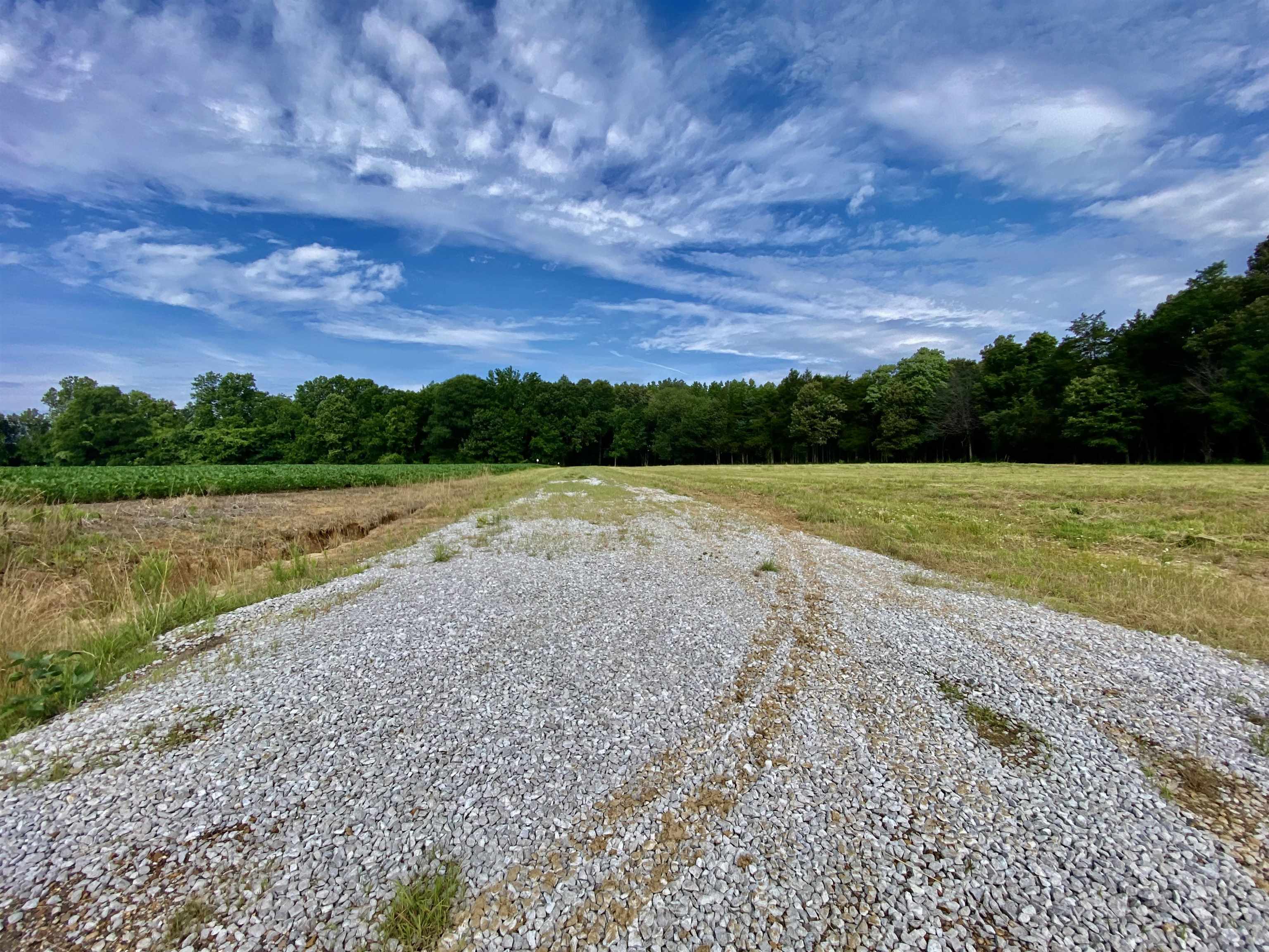 475 Fertile Valley Road Somerville, TN 38068 - Photo 15 of 21 a view of a lake with a yard