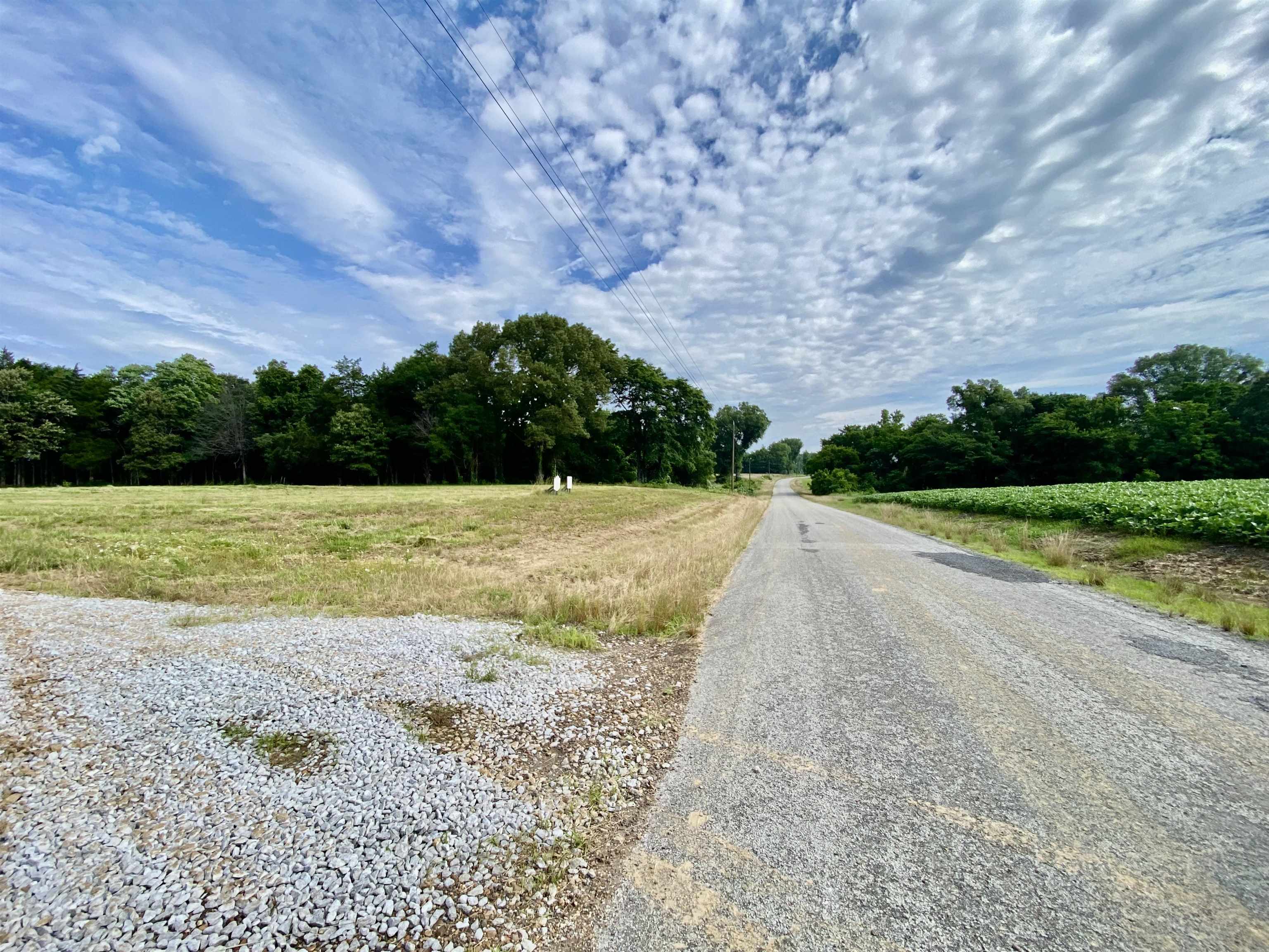 475 Fertile Valley Road Somerville, TN 38068 - Photo 16 of 21 a view of a dry yard with a dry yard