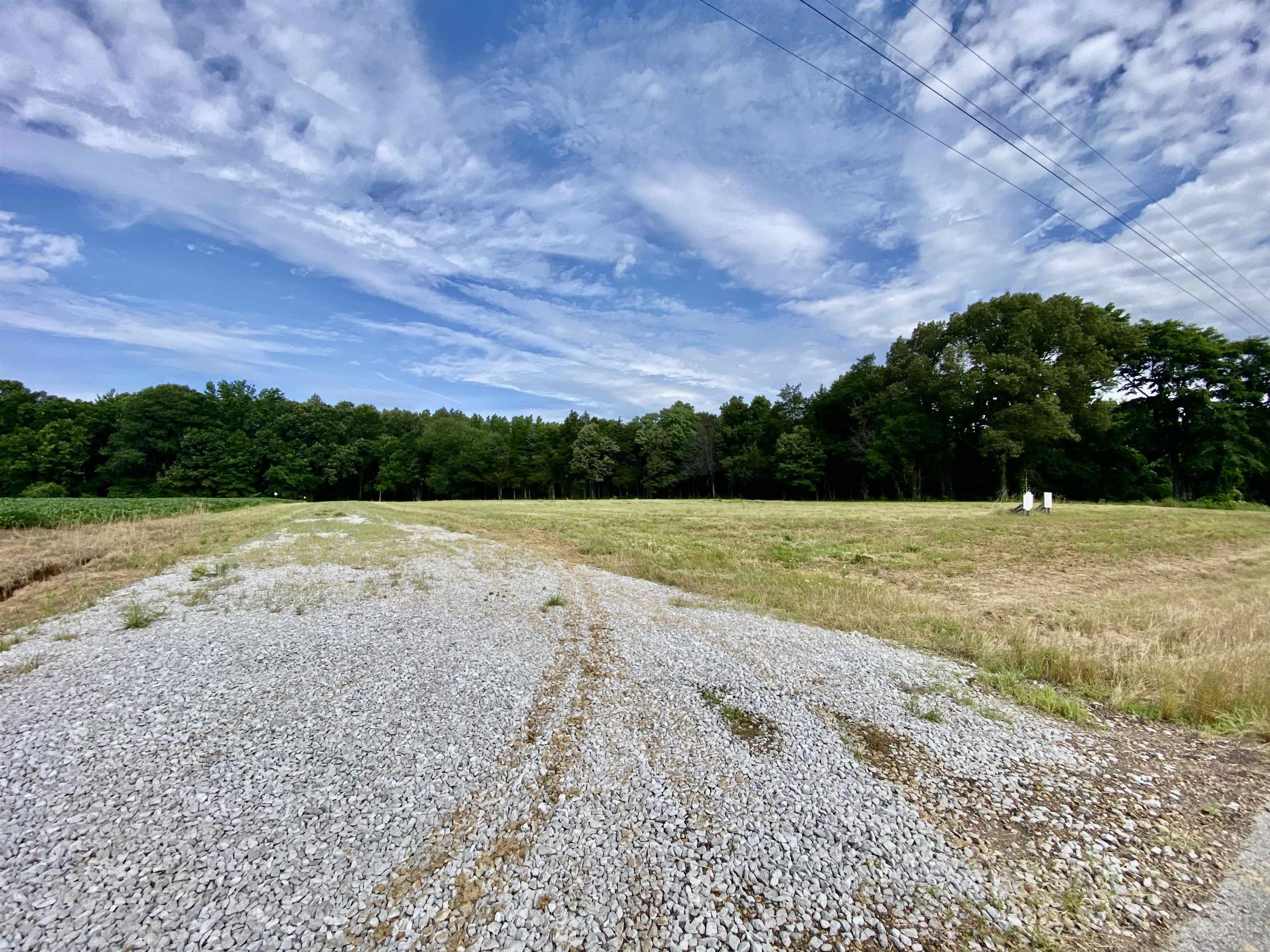 475 Fertile Valley Road Somerville, TN 38068 - Photo 17 of 21 a view of yard with swimming pool and green space