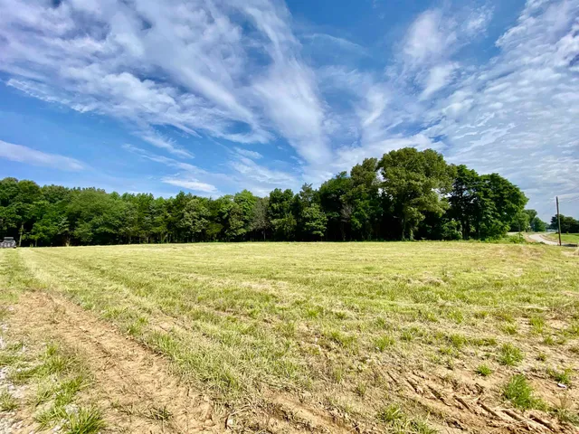 a view of outdoor space and yard