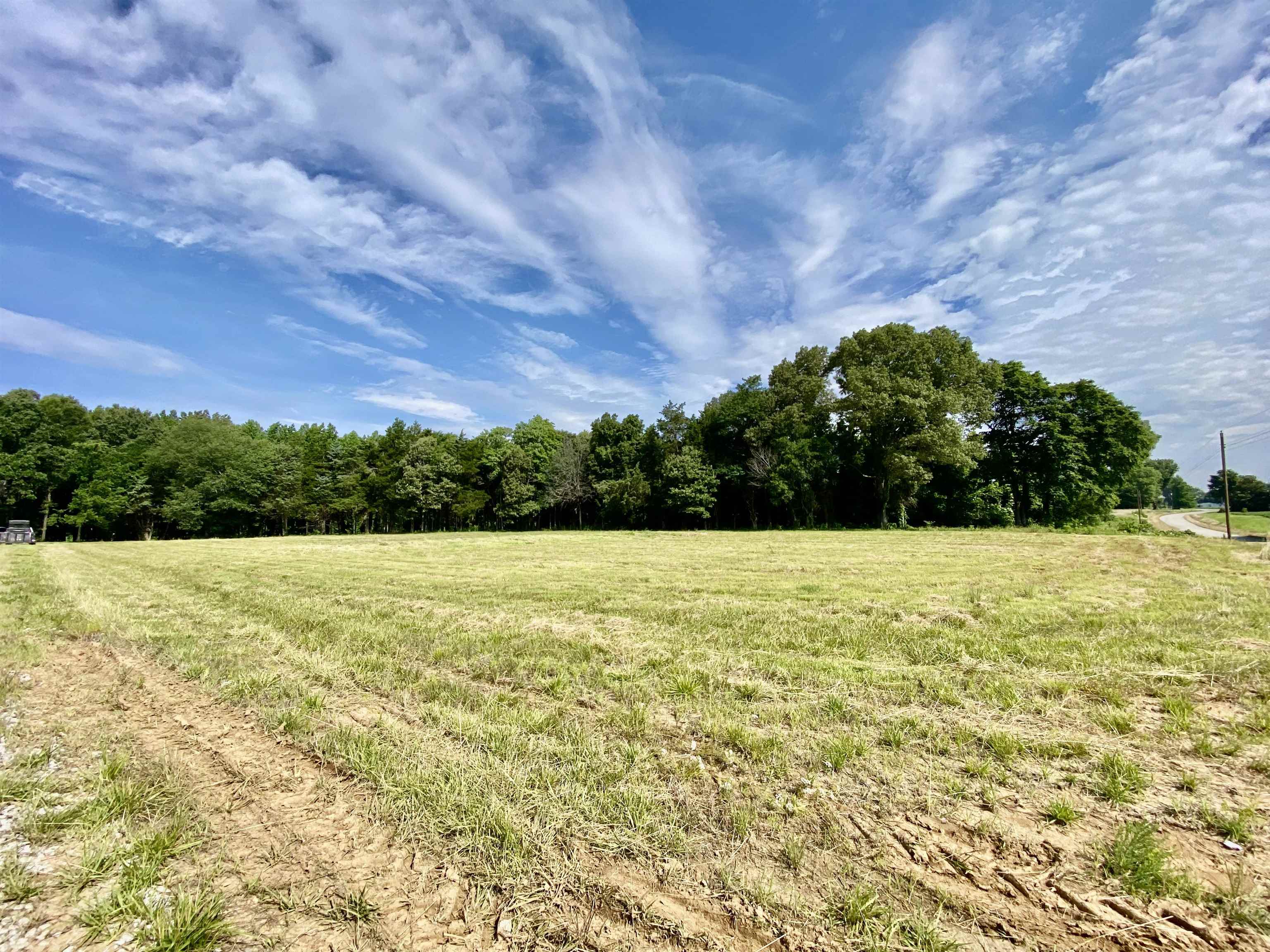 475 Fertile Valley Road Somerville, TN 38068 - Photo 5 of 21