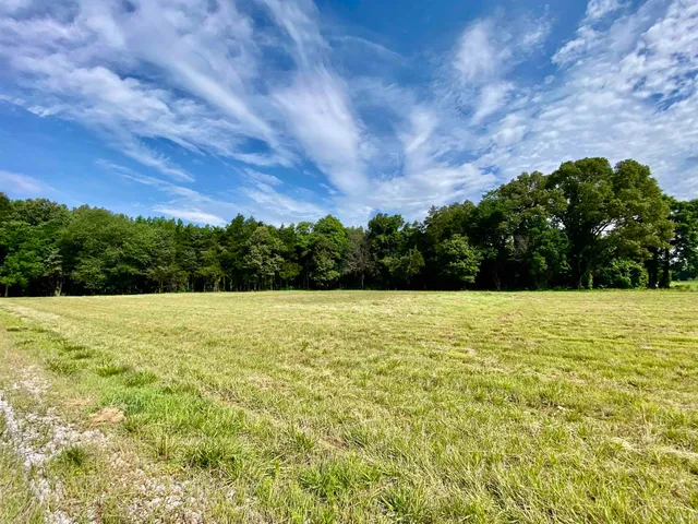a view of a yard with an outdoor space
