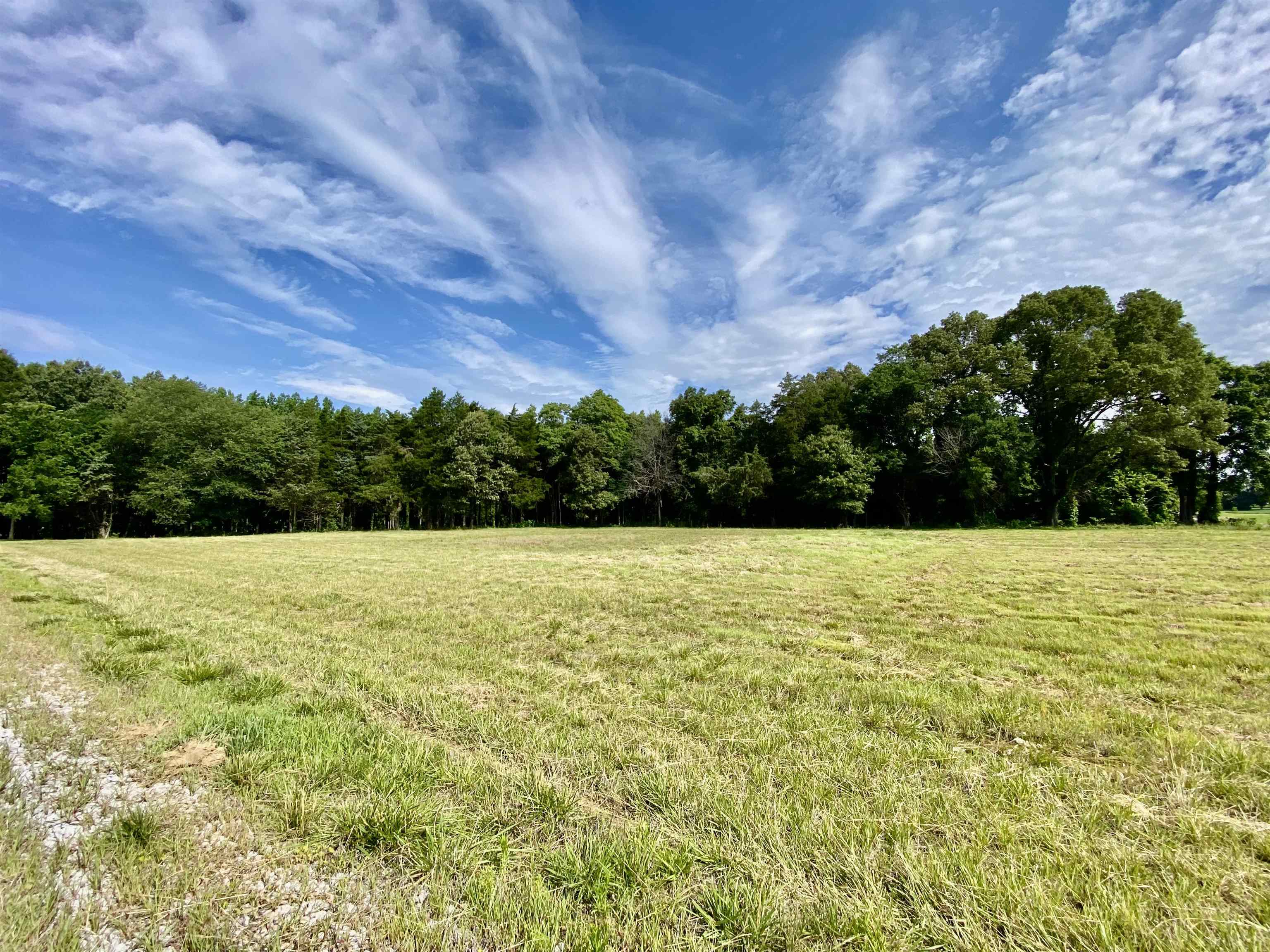 475 Fertile Valley Road Somerville, TN 38068 - Photo 6 of 21 a view of outdoor space and yard