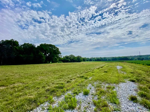 a big yard with lots of green space and trees in the back