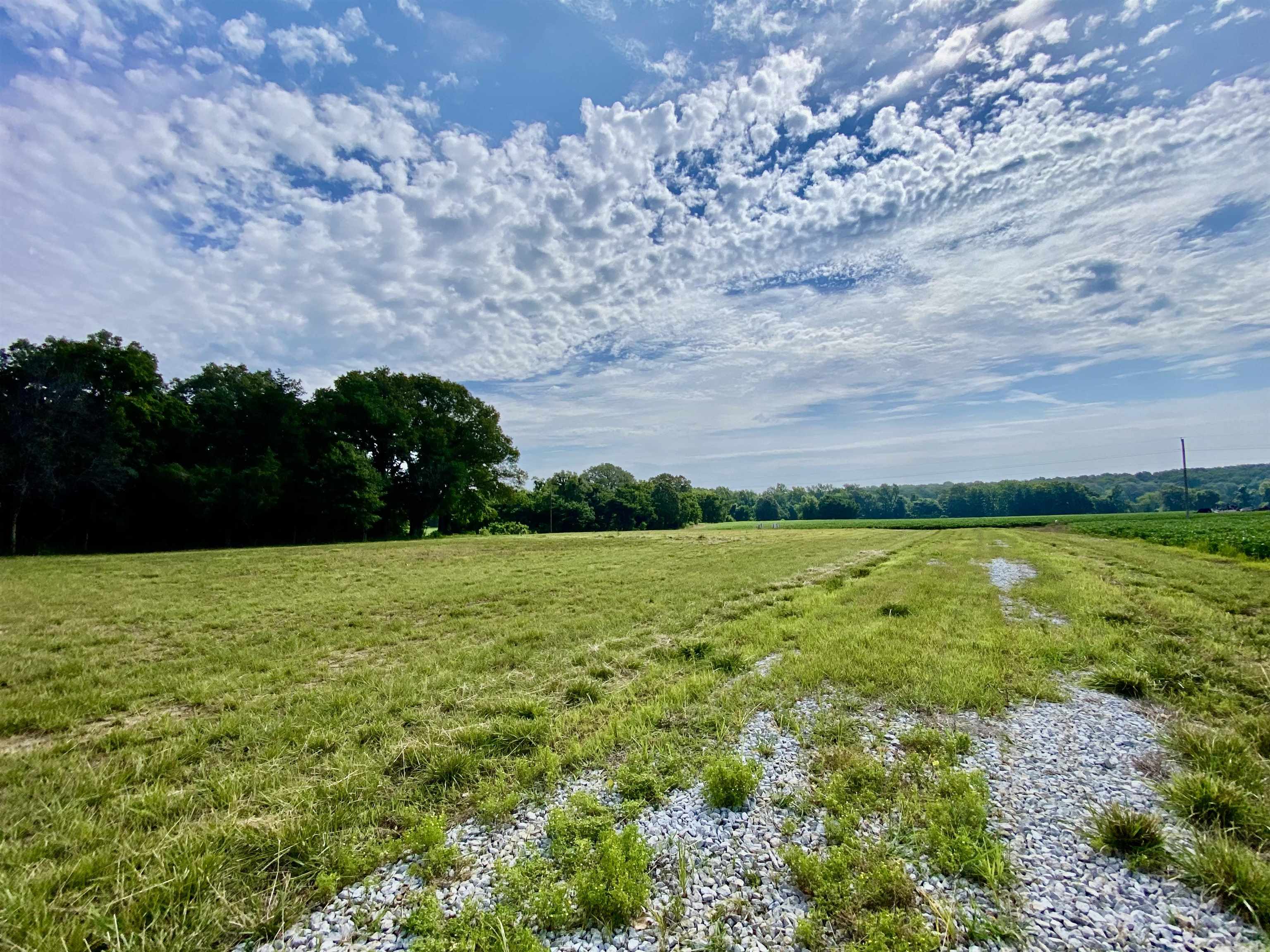 475 Fertile Valley Road Somerville, TN 38068 - Photo 7 of 21 a view of a yard with an outdoor space