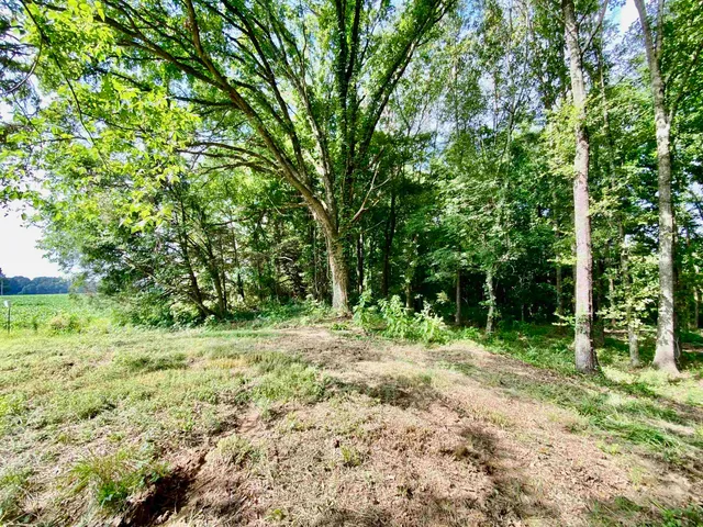 a view of backyard with green space