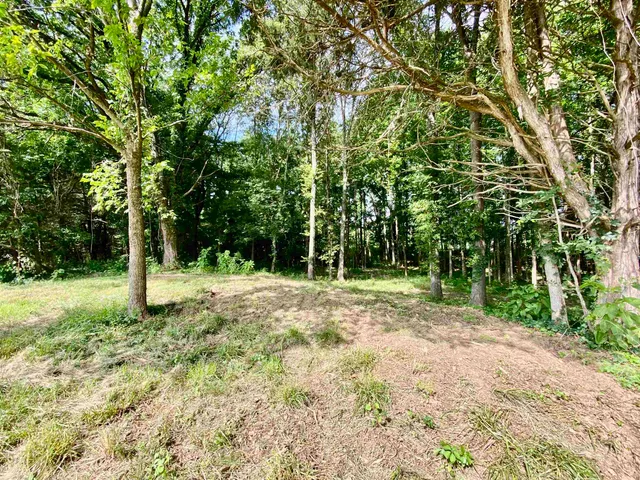 a view of an outdoor space