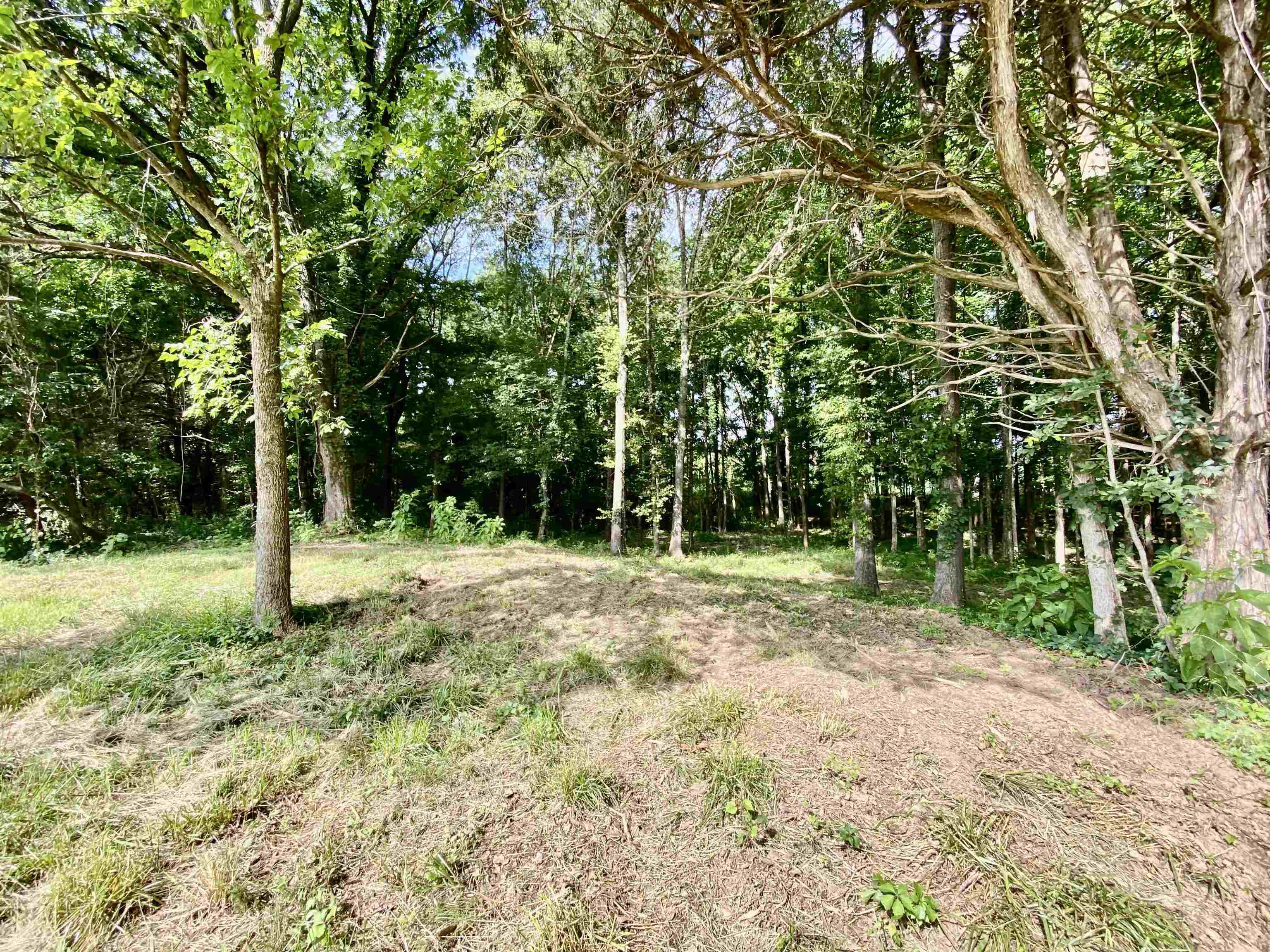 475 Fertile Valley Road Somerville, TN 38068 - Photo 10 of 21 a view of outdoor space with trees all around
