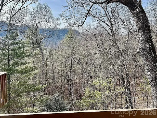 a view of a yard with a tree