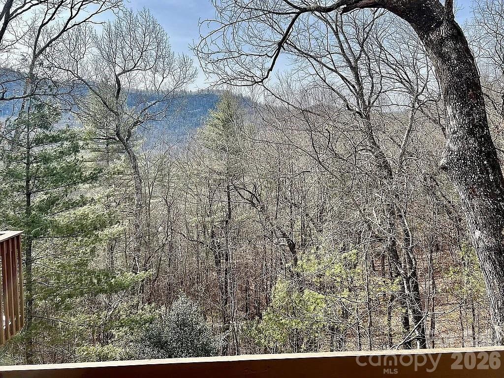 109 Emerald Ridge Road Sapphire, NC 28774 - Photo 30 of 41