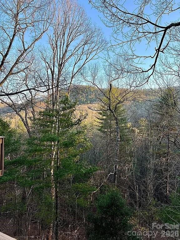 109 Emerald Ridge Road Sapphire, NC 28774 - Photo 31 of 41