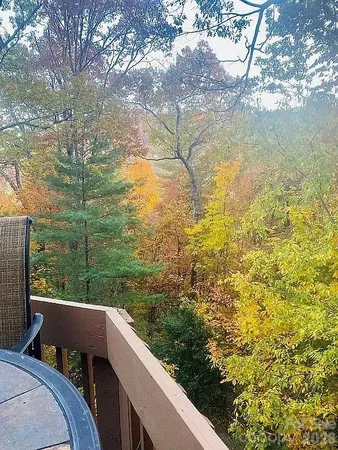 a view of a backyard with plants