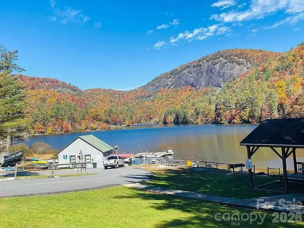 a view of a yard with plants and trees
