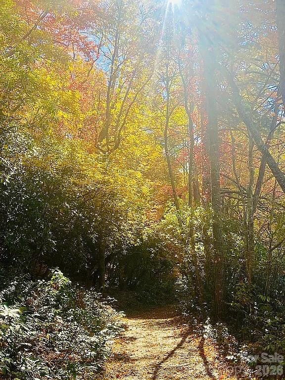 109 Emerald Ridge Road Sapphire, NC 28774 - Photo 40 of 41