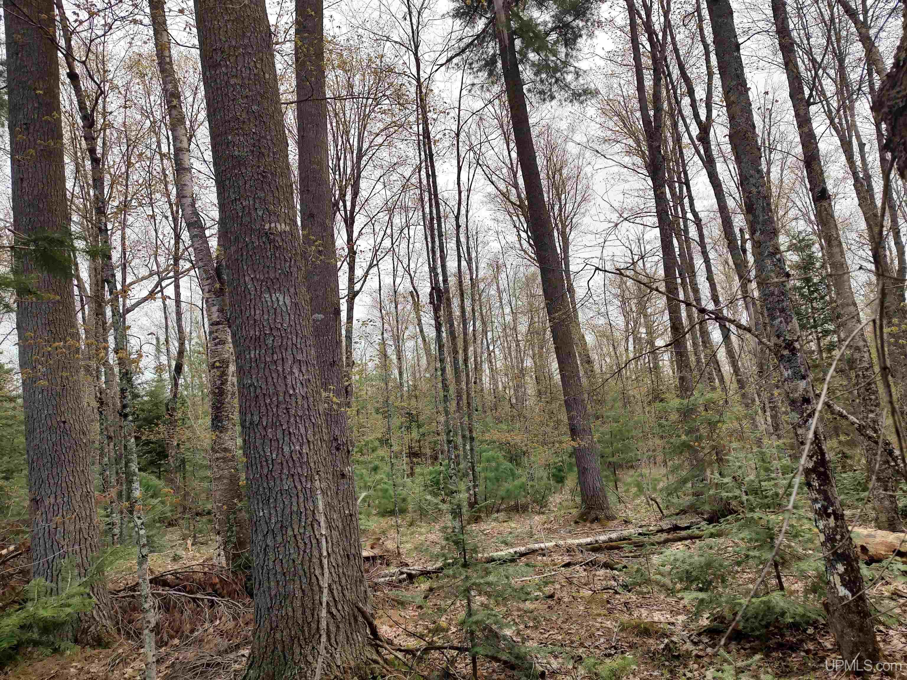 10 Fence Lake Road Michigamme, MI 49861 - Photo 26 of 42