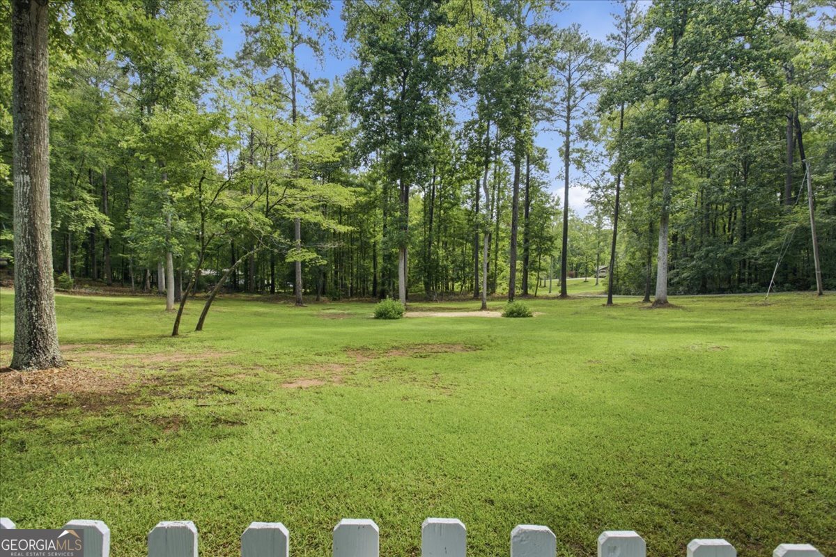 267 Joe Cox Road Sharpsburg, GA 30277 - Photo 71 of 83