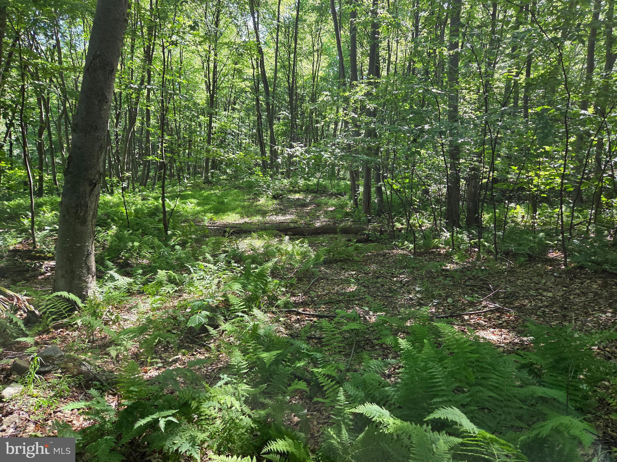 0 Carlisle Gap Road Lewistown, PA 17044 - Photo 28 of 53