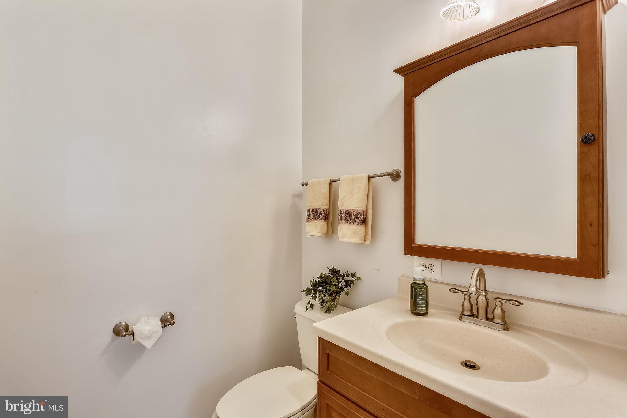18519 Cornflower Road Boyds, MD 20841 - Photo 12 of 35 Main Floor Powder Room with Pocket door entrance