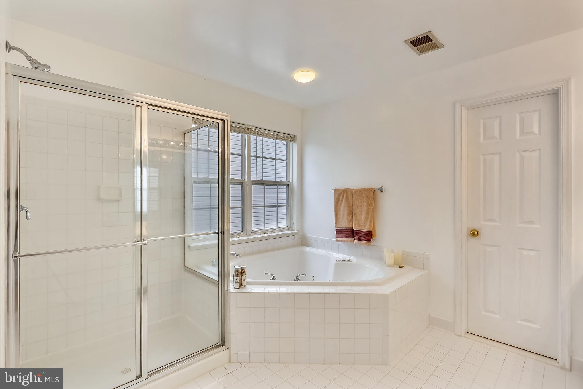 18519 Cornflower Road Boyds, MD 20841 - Photo 16 of 35 Another View of Master Bath