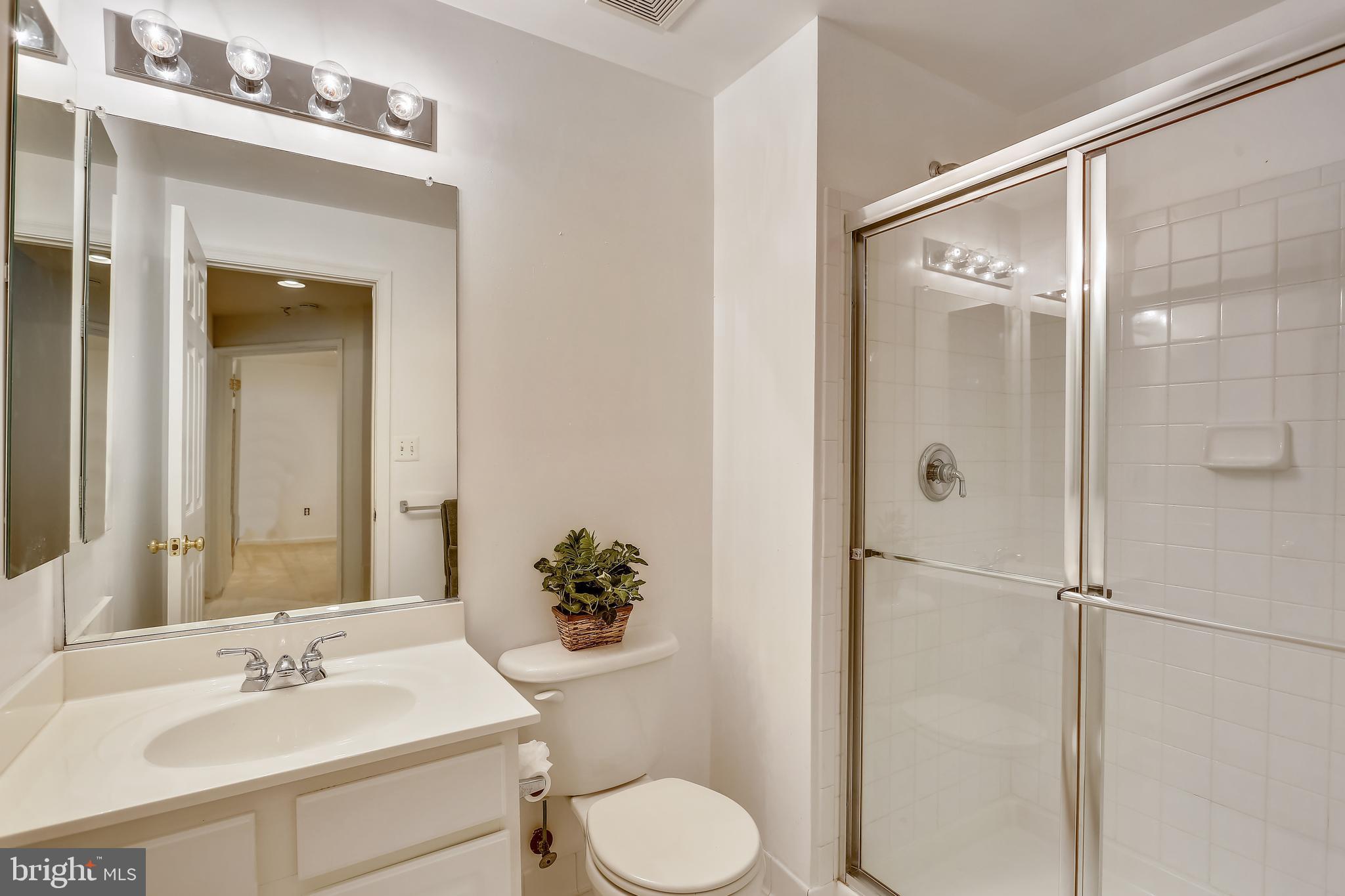18519 Cornflower Road Boyds, MD 20841 - Photo 27 of 35 Lower Level Full Bath (shower)