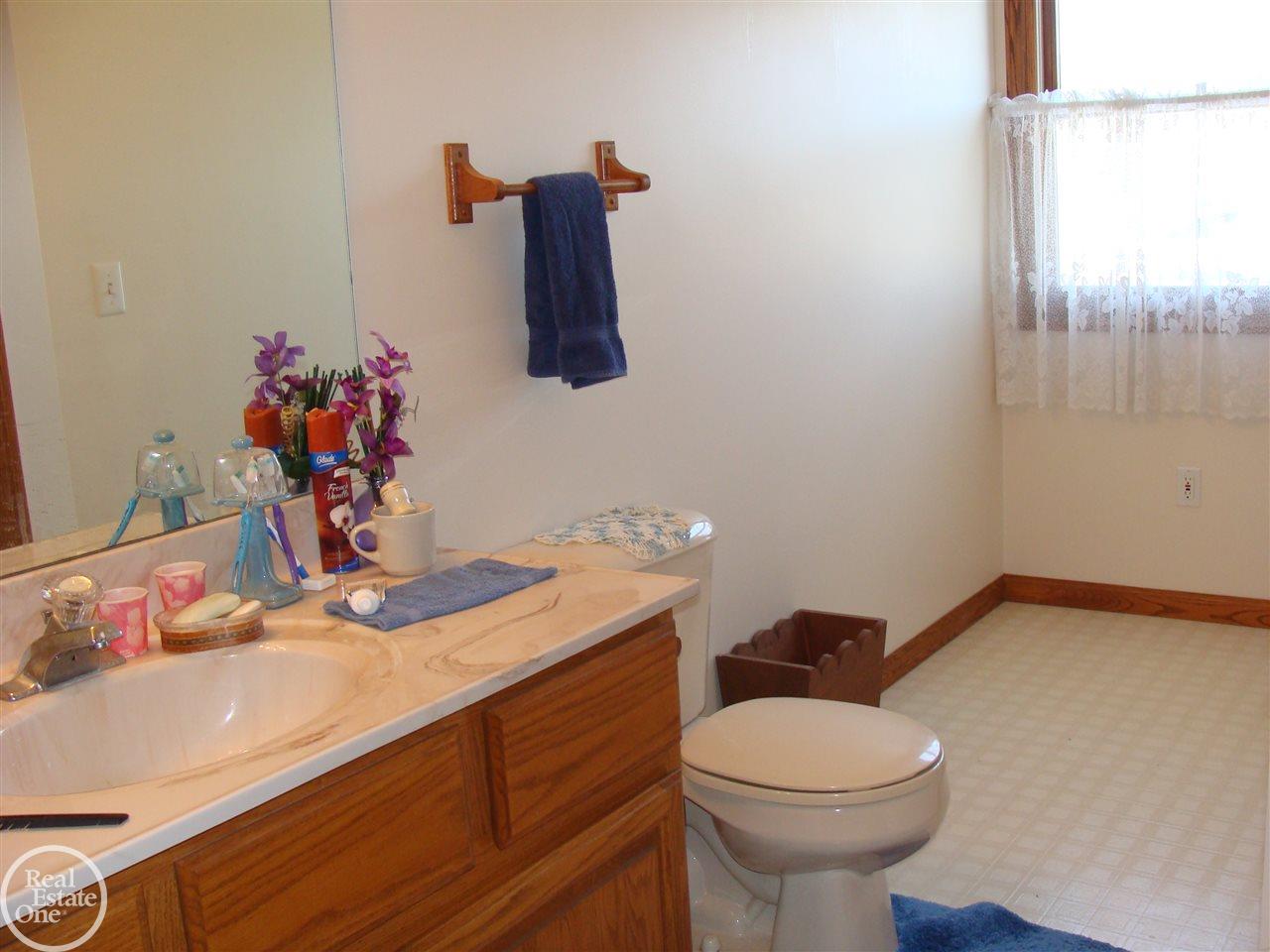 2115 Ditty Road Smiths Creek, MI 48074 - Photo 48 of 52 31315355-50.JPG