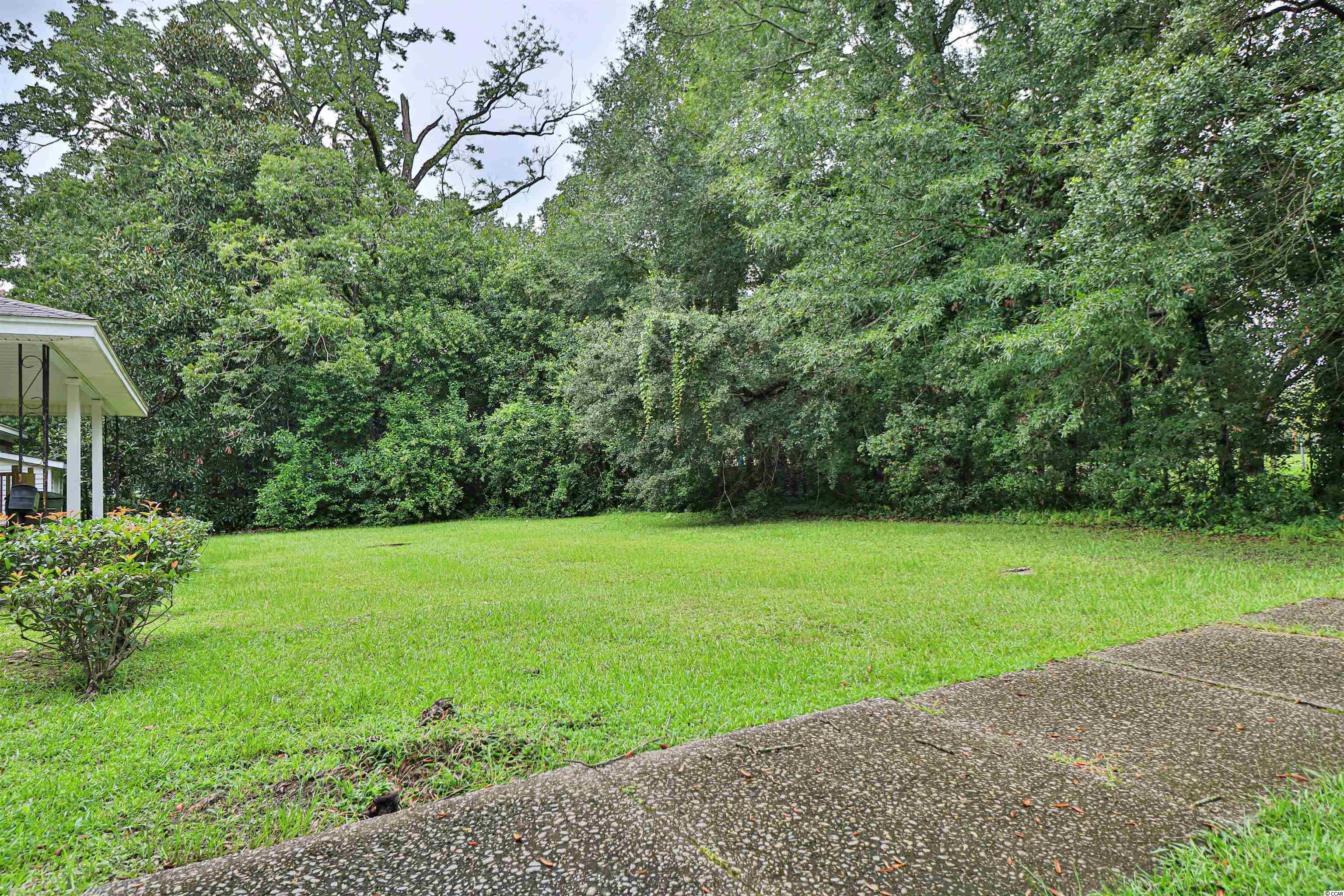 Tbd King Street Georgetown, SC 29440 - Photo 1 of 12 Gallery Image 1