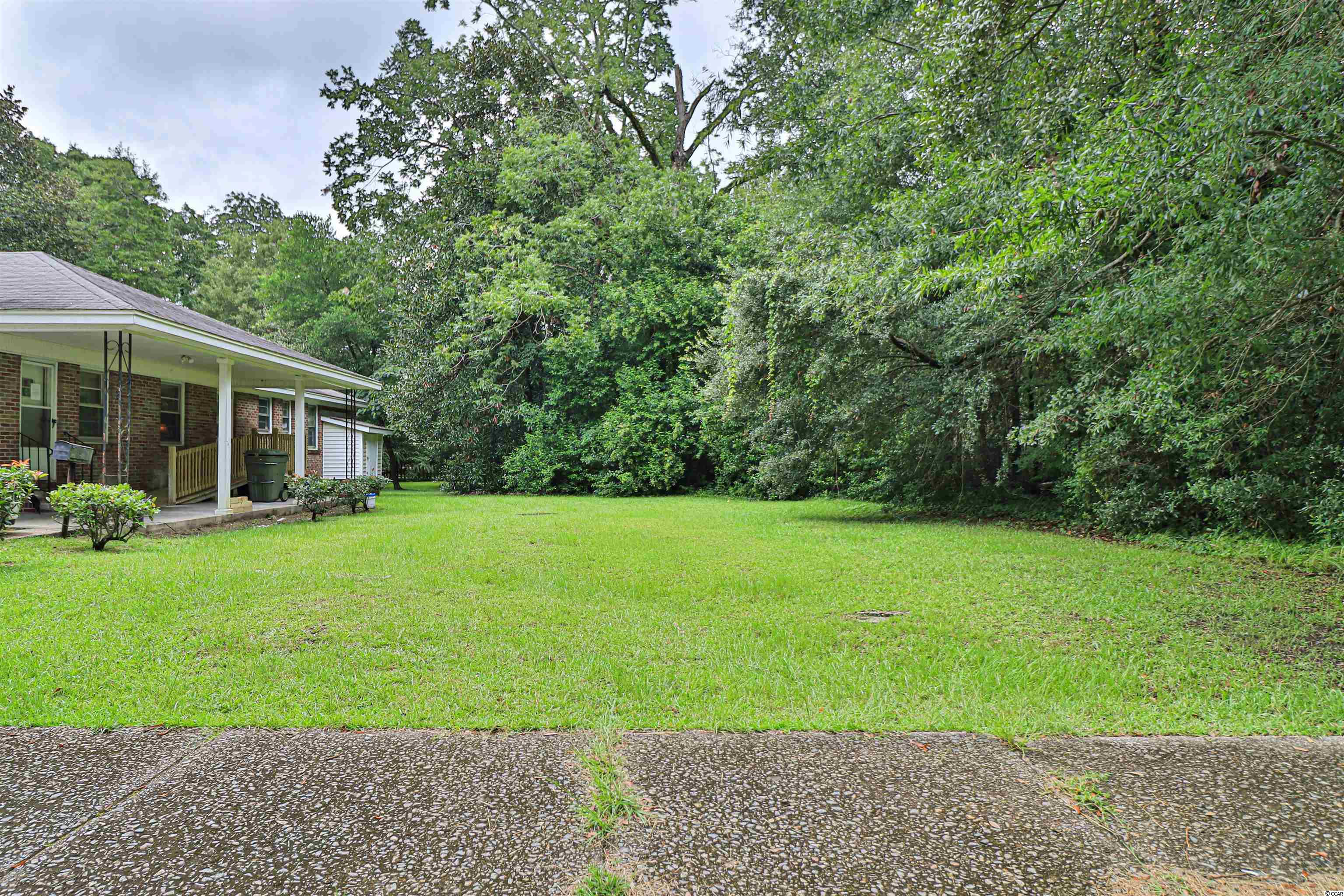 Tbd King Street Georgetown, SC 29440 - Photo 12 of 12 Gallery Image 12