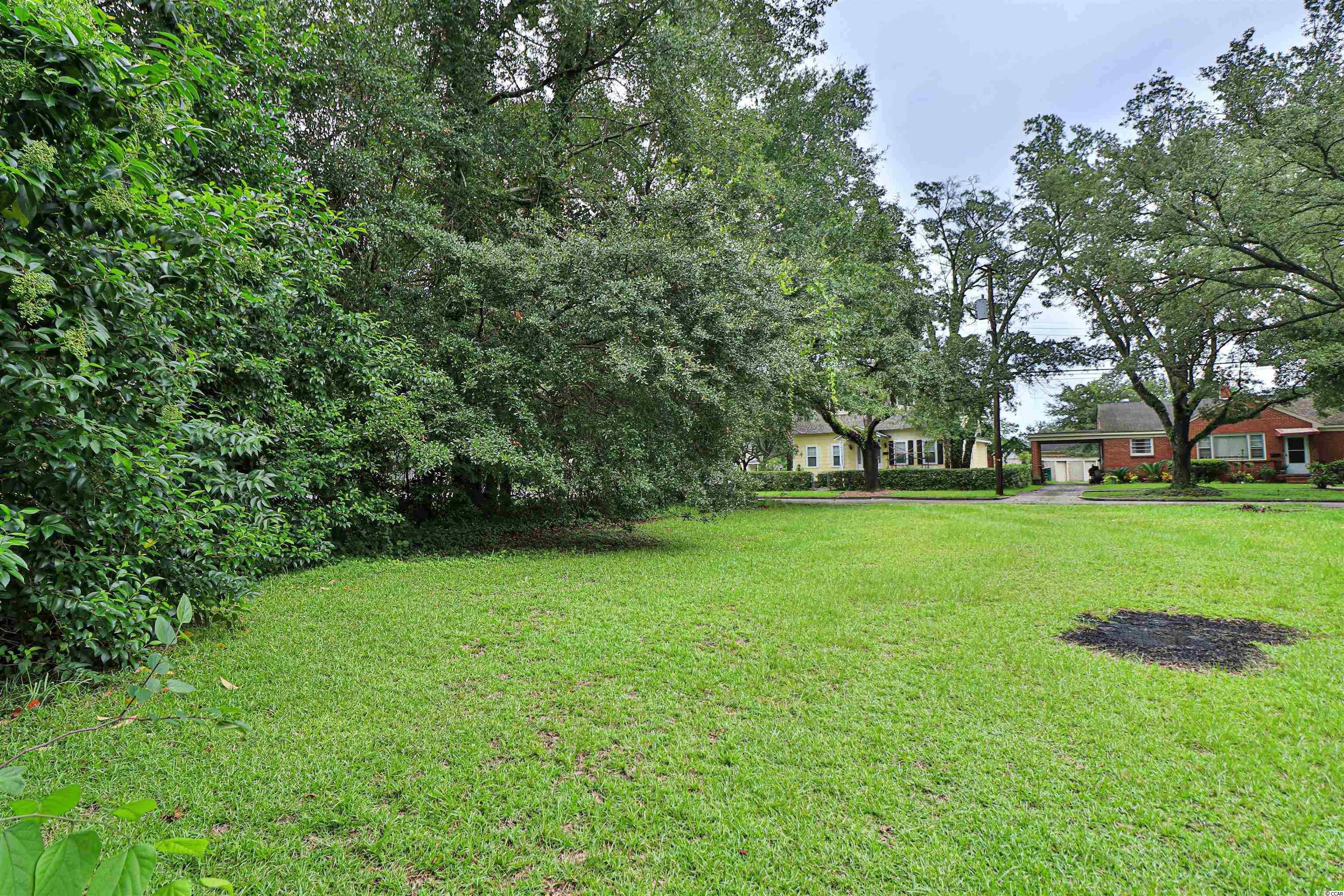 Tbd King Street Georgetown, SC 29440 - Photo 4 of 12 Gallery Image 4