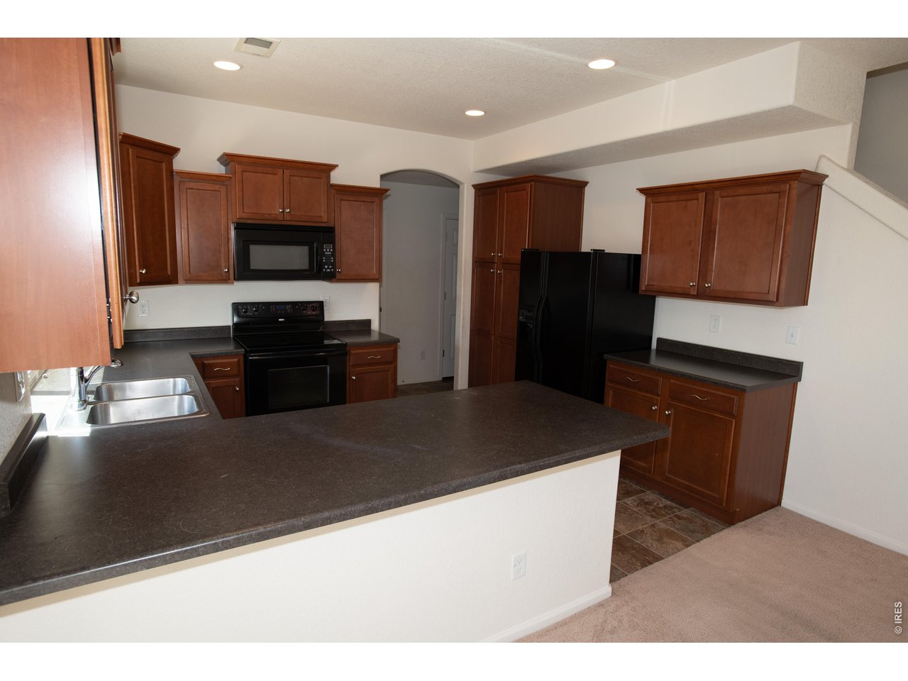 4698 Andes Way Denver, CO 80249 - Photo 7 of 20