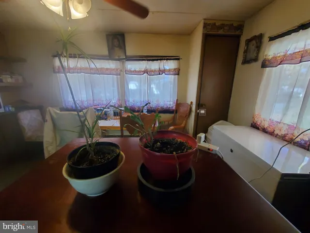 a living room with furniture a rug and a window