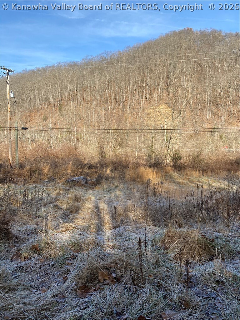 Tbd Bell Road Chapmanville, WV 25508 - Photo 3 of 11 Gallery Image 3