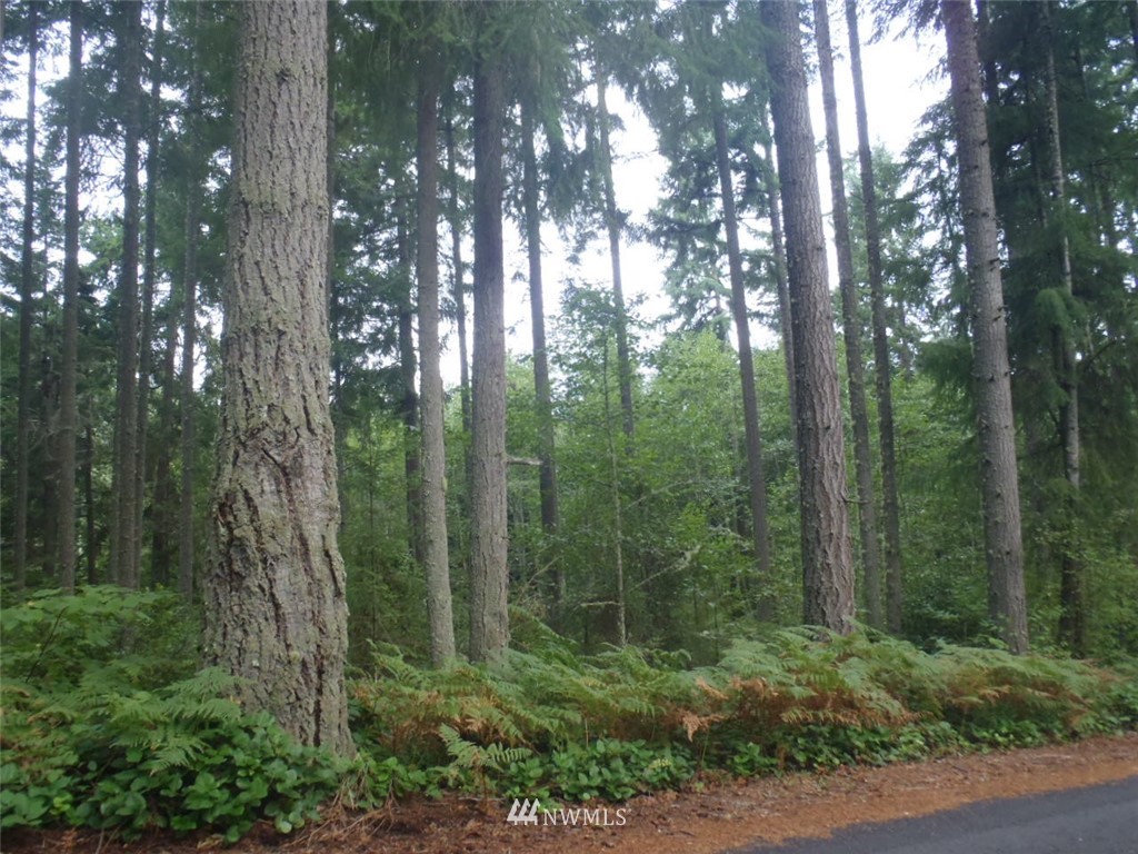 9424 Steffenson Road Anderson Island, WA 98303 - Photo 1 of 4 Gallery Image 1