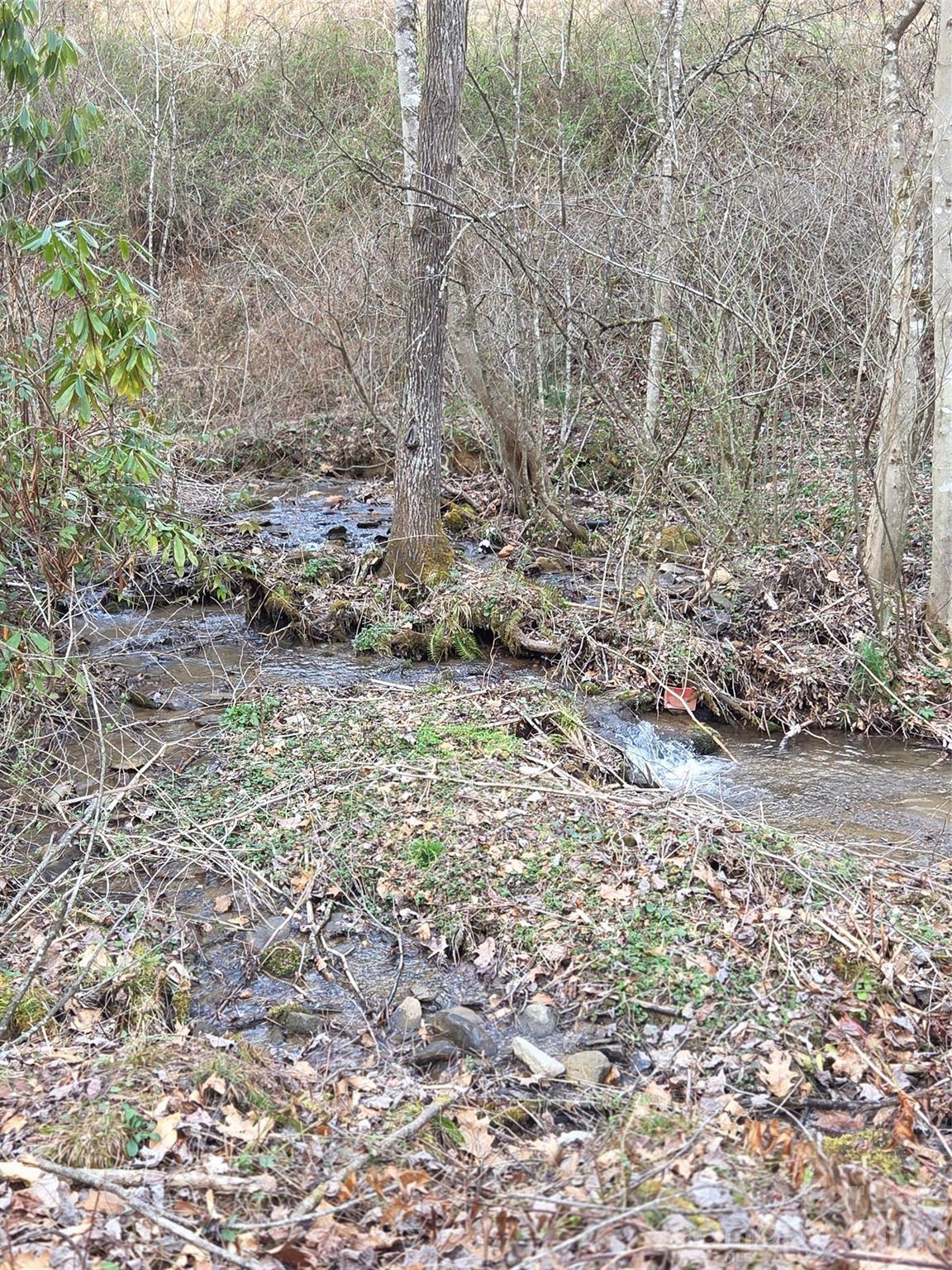 0 Laurel Branch Road Waynesville, NC 28785 - Photo 10 of 13 Gallery Image 10