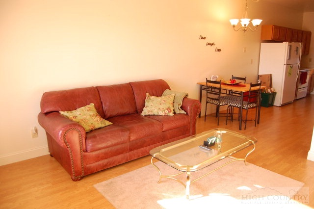190-17 Ridge View Drive, Unit 17 Boone, NC 28607 - Photo 2 of 11 Gallery Image 2
