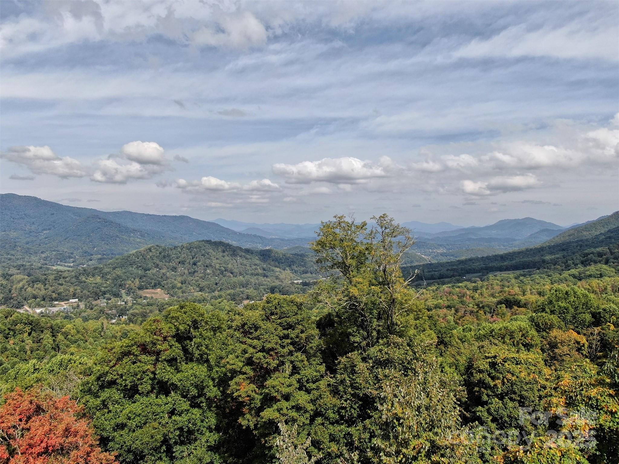 0 Ellenberger Drive, Unit 401 Waynesville, NC 28785 - Photo 3 of 8 a view of a bunch of trees in a field