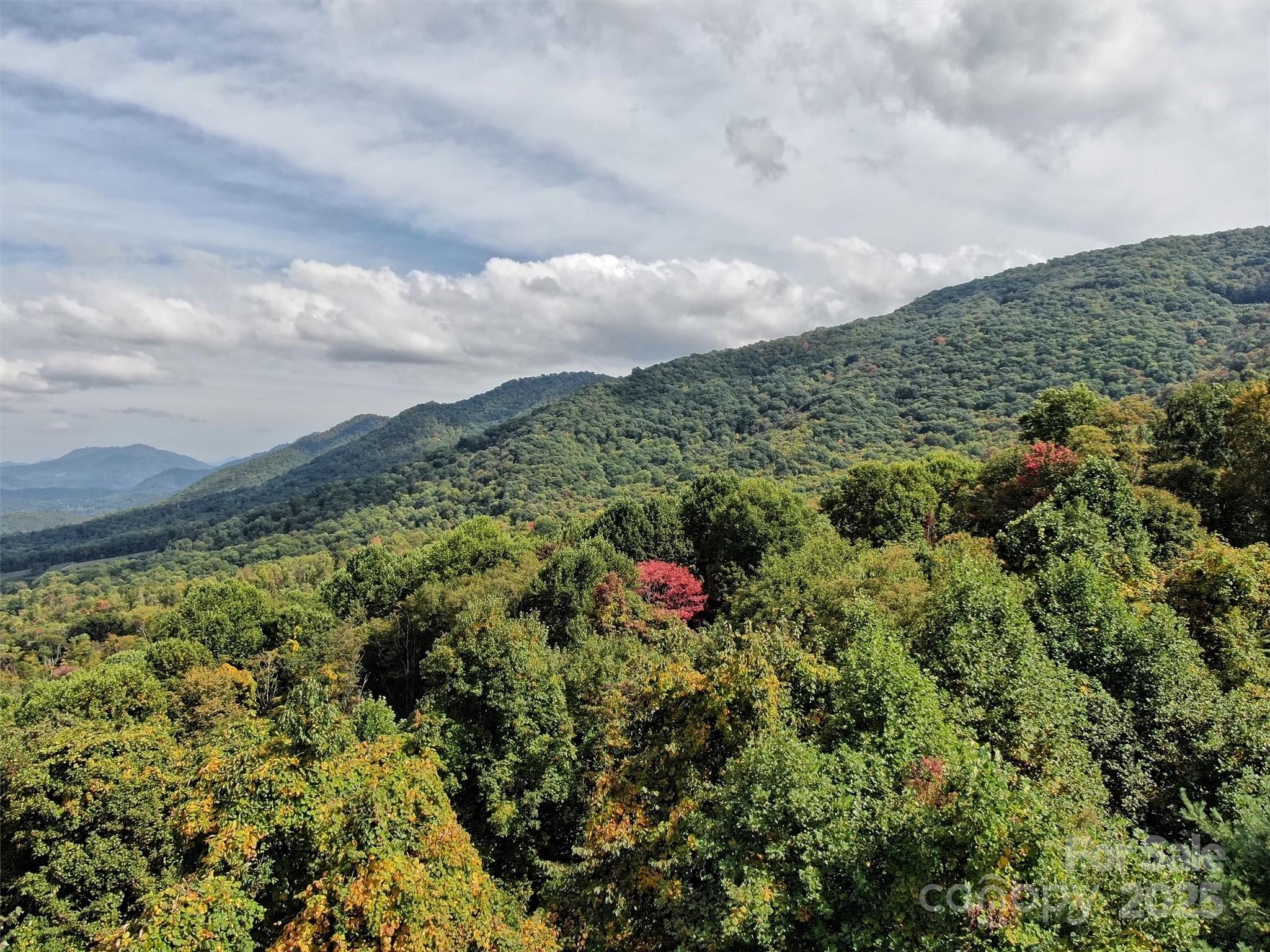 0 Ellenberger Drive, Unit 401 Waynesville, NC 28785 - Photo 4 of 8 a view of a green field with lots of bushes