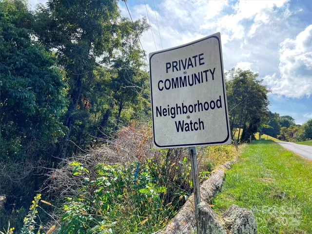 a view of a forest with trees in the background