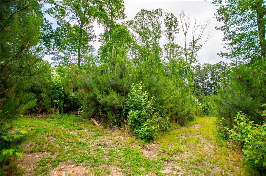 0 Lindsey Lake Road Dallas, GA 30157 - Photo 39 of 46