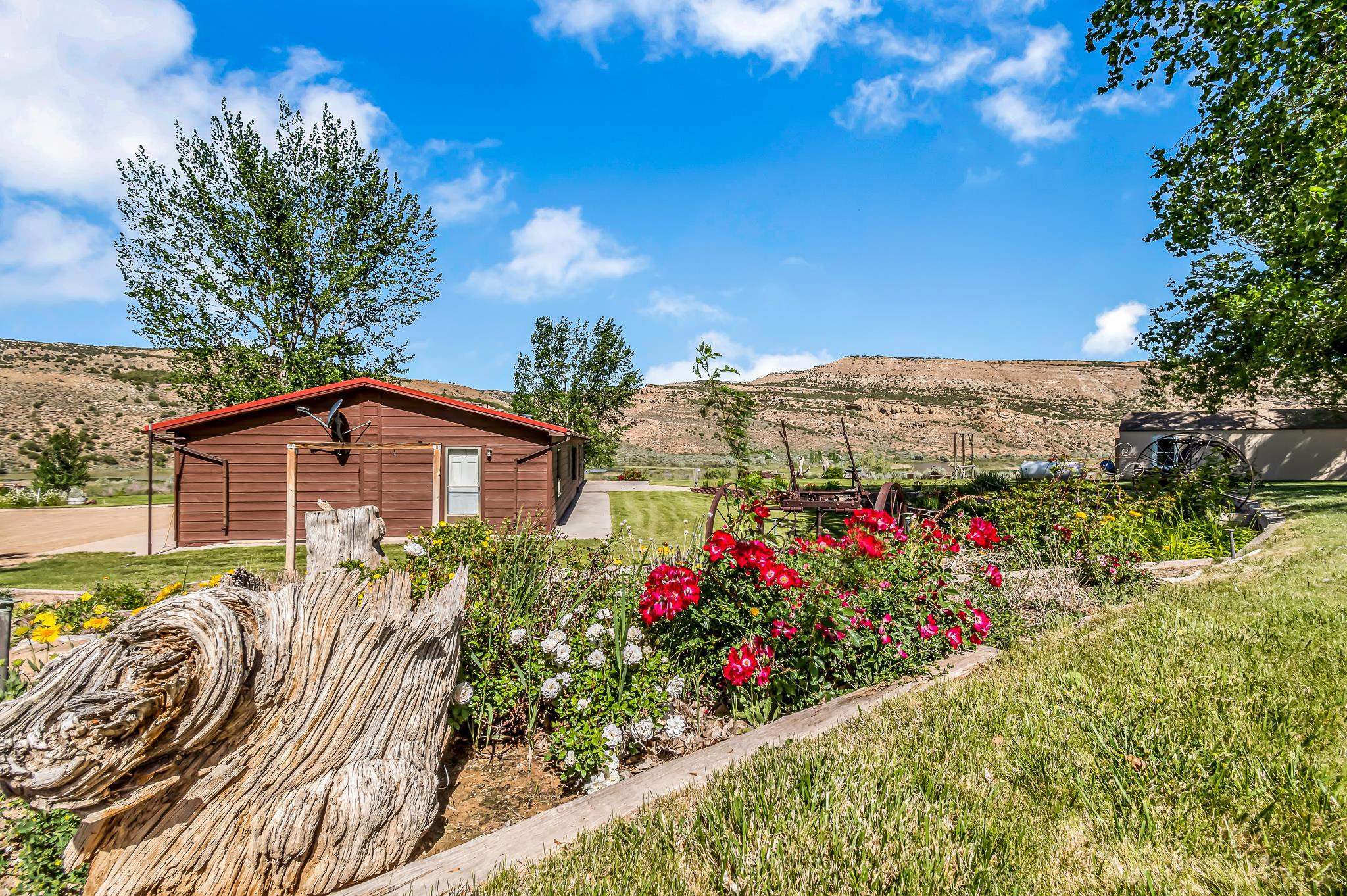 24591 Highway 64 Rangely, CO 81648 - Photo 12 of 42 a view of a flower in a garden