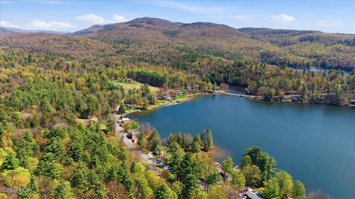 497 Hadlock Pond Road Fort Ann, NY 12827 - Photo 7 of 30 Pond to north