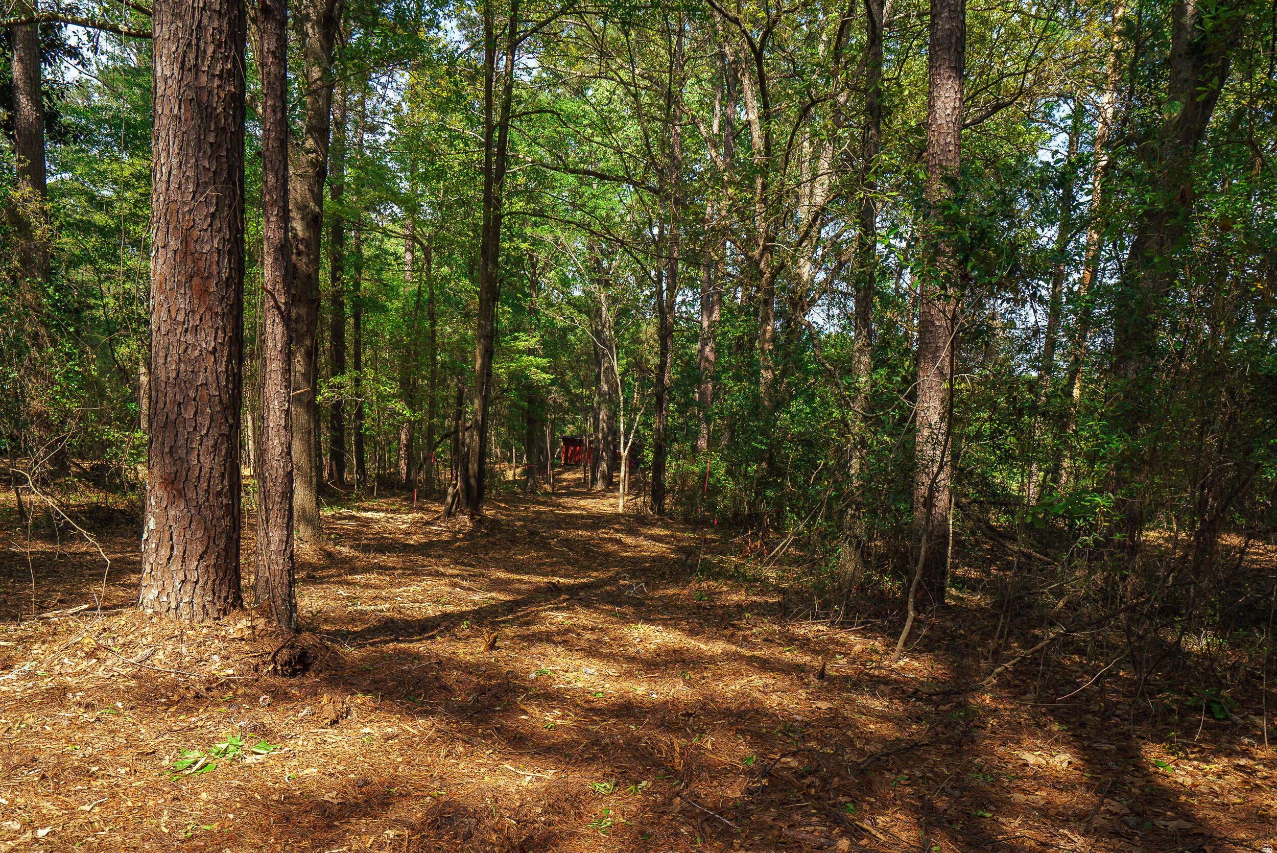 Lot 3 Banks Mill Road Southeast Aiken, SC 29803 - Photo 36 of 42