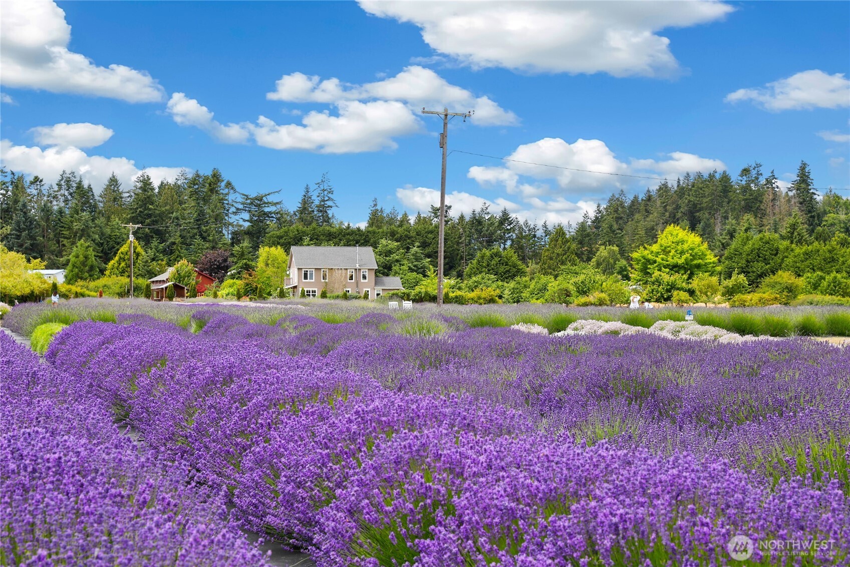 713 West Fir Street Sequim, WA 98382 - Photo 37 of 40