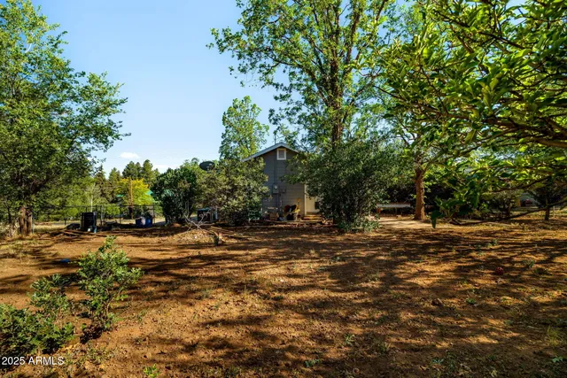 a view of a yard with a tree