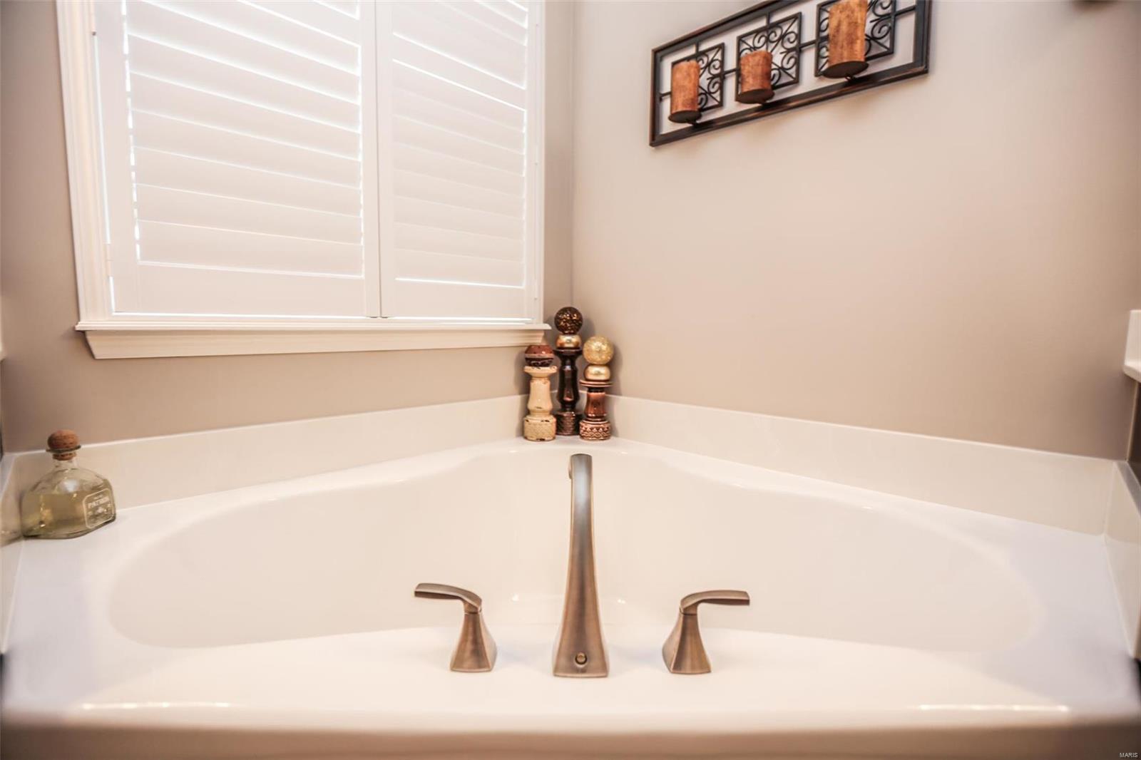 71 Grace Rose Court Eureka, MO 63025 - Photo 23 of 64