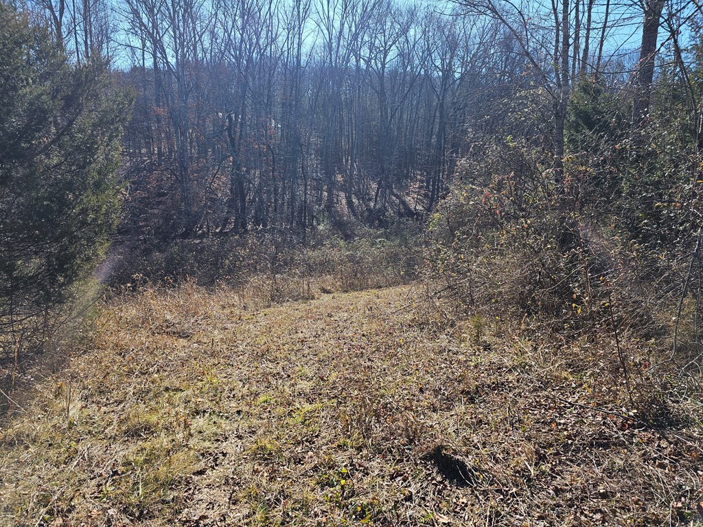 1007 Spring Creek Road Dandridge, TN 37725 - Photo 10 of 11
