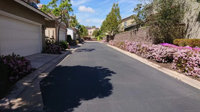 a view of a street with flower plants