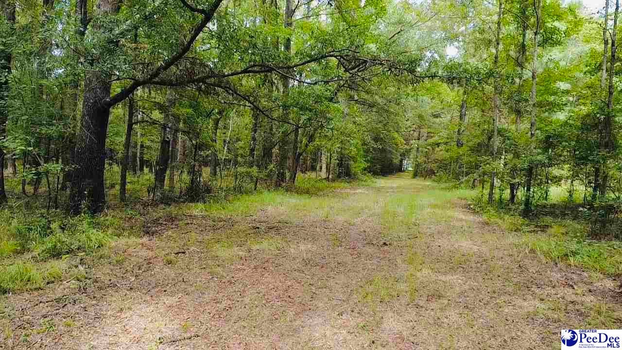 Tbd East Tbd E Friendfield Road Coward, SC 29530 - Photo 16 of 29 Gallery Image 16