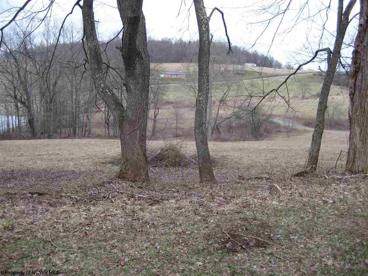 2412 Little Sandy Road Bruceton Mills, WV 26525 - Photo 13 of 16 Gallery Image 13